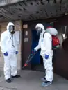 Фото компанії Центр дезінфекції "PESTCO"