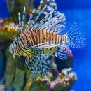 Фото компанії OCEANARIUM LVIV
