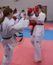 Фото компанії Royal Team Taekwon-do