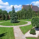 Фото компанії Your landscape