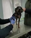 Фото компанії ВетЦентр