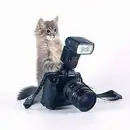 Фото компанії Фотограф