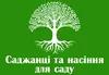 Логотип компанії Саджанці та насіння для саду