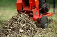 Фото компанії Clean garden