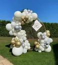 Фото компанії BalloonShop