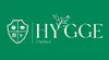 Логотип компанії Hygge_intellect