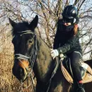 Фото компанії Кінний клуб "Horses Lviv"