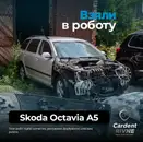 Фото компанії Cardent_rivne