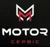 Логотип компанії MOTOR СЕРВІС