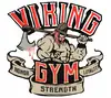 Логотип компанії Тренажерний зал "Viking Gym"
