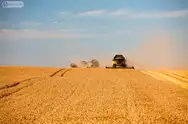 Фото компанії ТОВ "Волинь-Зерно-Продукт"