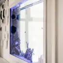 Фото компанії Стоматологічна клініка "Radent"