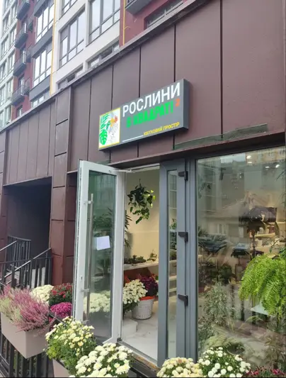 Фото компанії Рослини в квадраті