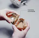 Фото компанії Зуботехнічна лабораторія "Molyar Lab"
