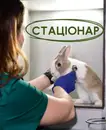 Фото компанії Ветеринарний центр "ПАНГЕЯ"
