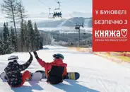 Фото компанії Страхова компанія "Княжа Вієнна Іншуранс Груп"