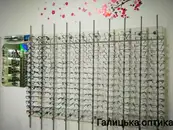 Фото компанії Галицька оптика