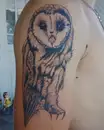 Фото компанії Tattoo Madarasch