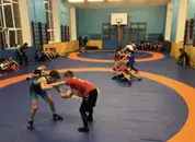 Фото компанії Спорт-клуб "Ірбіс"