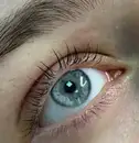 Фото компанії Solonynka_permanent