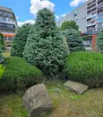 Фото компанії Mario Gardens