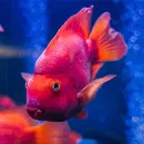 Фото компанії OCEANARIUM LVIV