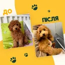 Фото компанії Грумінг-салон "Mery"