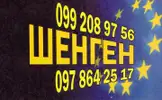 Фото компанії Туристична фірма "Тур Сервіс-ІФ"