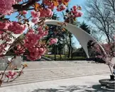 Фото компанії Екскурсії по Вінниці та Україні