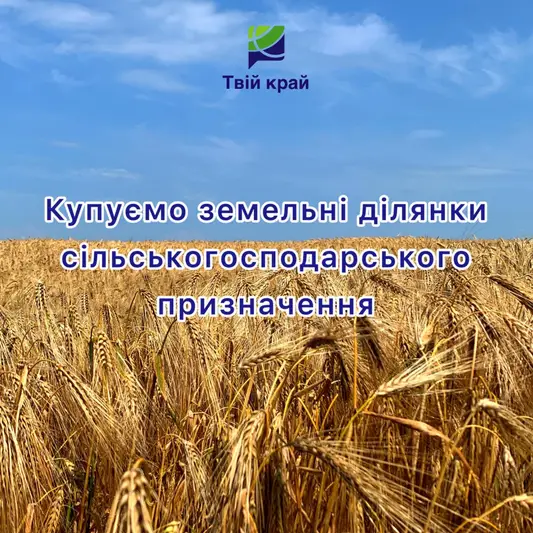Фото компанії Організація "Твій край"