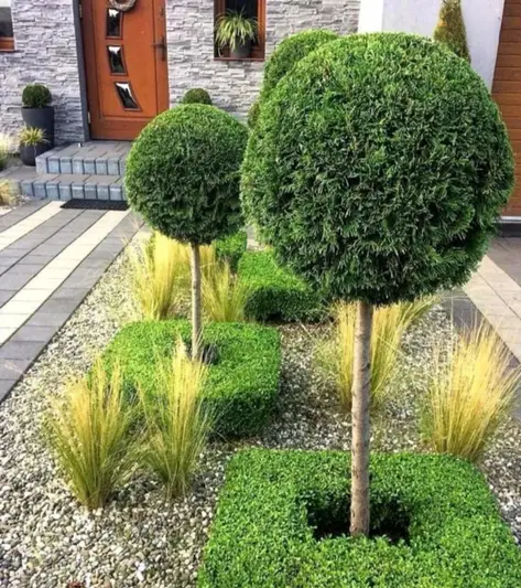 Фото компанії Green Yard