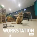 Фото компанії Workstation