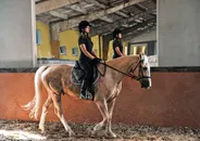 Фото компанії Кінно-спортивний клуб "Лідер"