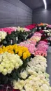 Фото компанії Магазин "Ideal flora"