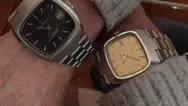 Фото компанії TEMPUS