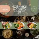 Фото компанії Modesto