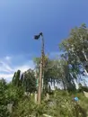 Фото компанії Арбористика