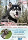 Фото компанії Львівське обласне об'єднання кінології "Тамерлан"