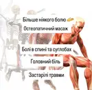 Фото компанії Студія масажу та остеопатії "Vertex"