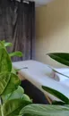 Фото компанії Time_for_yourself_massage.rv