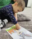 Фото компанії Центр раннього розвитку "Little stars"