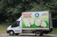 Фото компанії Фермерське господарство Томаш Тетяни Вікторівни