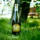 Фото компанії InVino