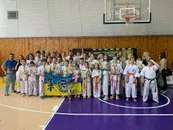 Фото компанії Українська федерація з бойових мистецтв БУДО