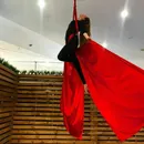 Фото компанії Професійна студія танцю на пілоні та повітряних полотнах " +