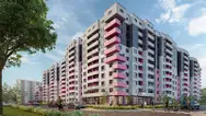 Фото компанії AN DOMINANT