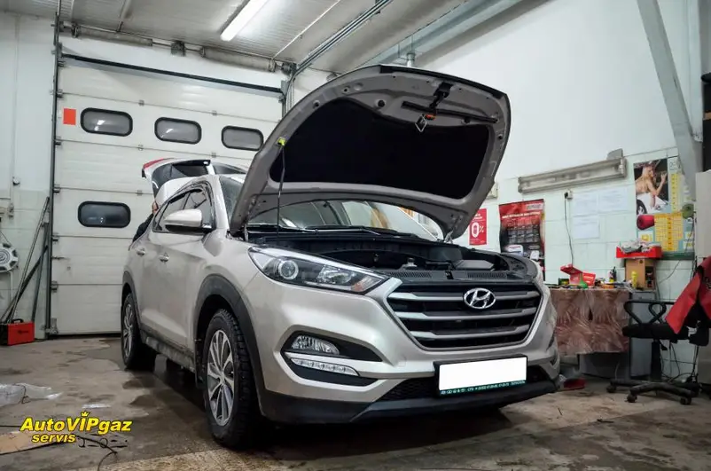 Фото компанії Avto VIP gaz