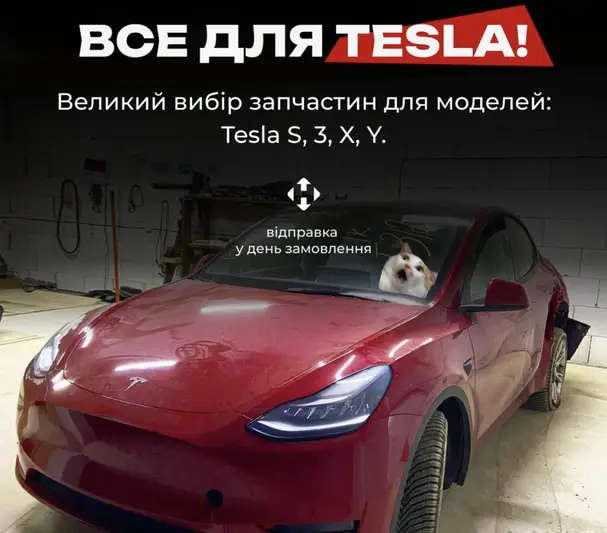 Фото компанії S.3.X.Y Garage by ES