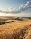 Фото компанії Захід-промінь
