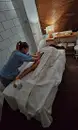 Фото компанії ALMA SPA
